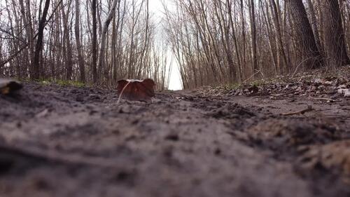 Flatlands takeoff